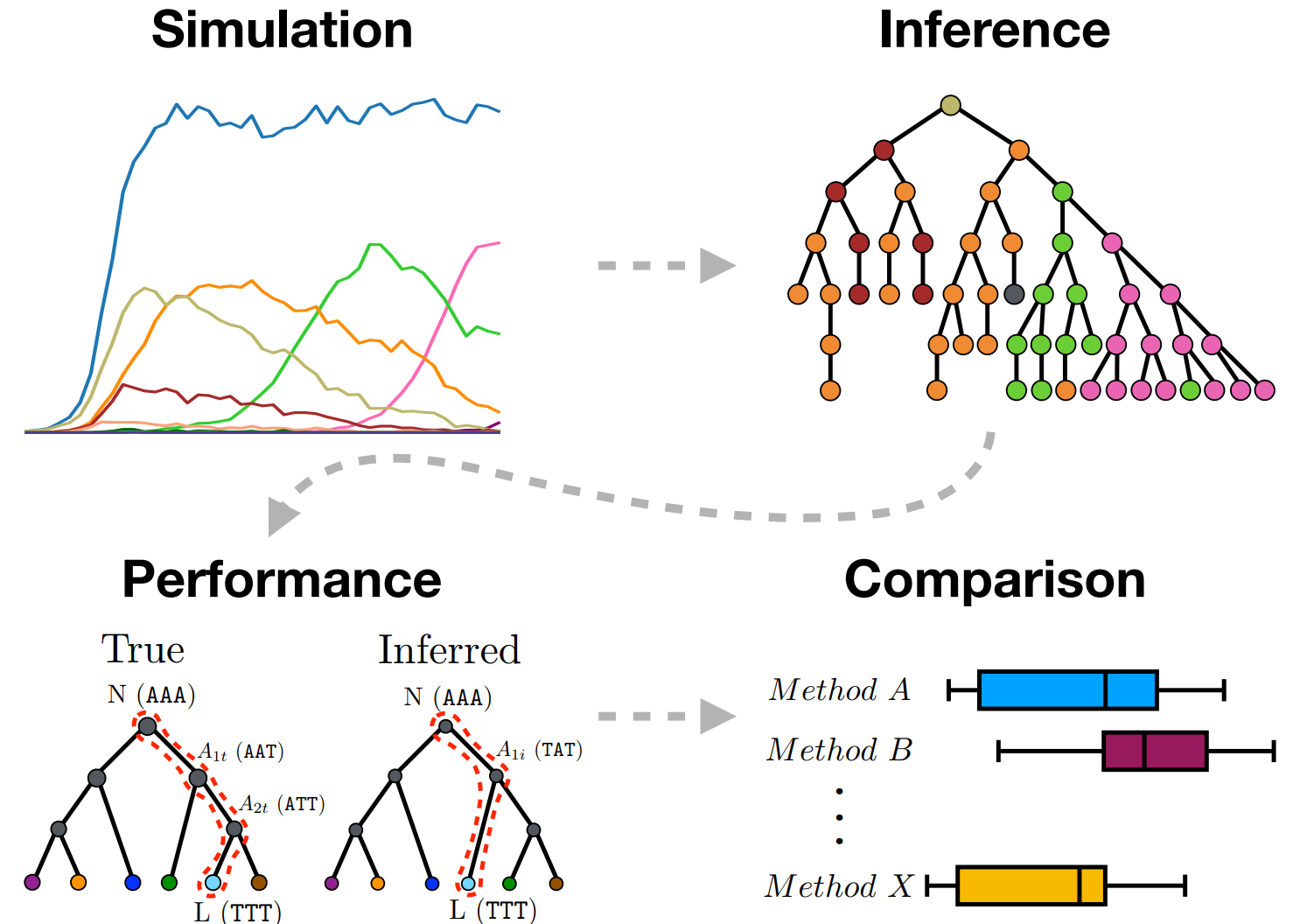 Benchmarking tree and ancestral sequence inference for B cell receptor