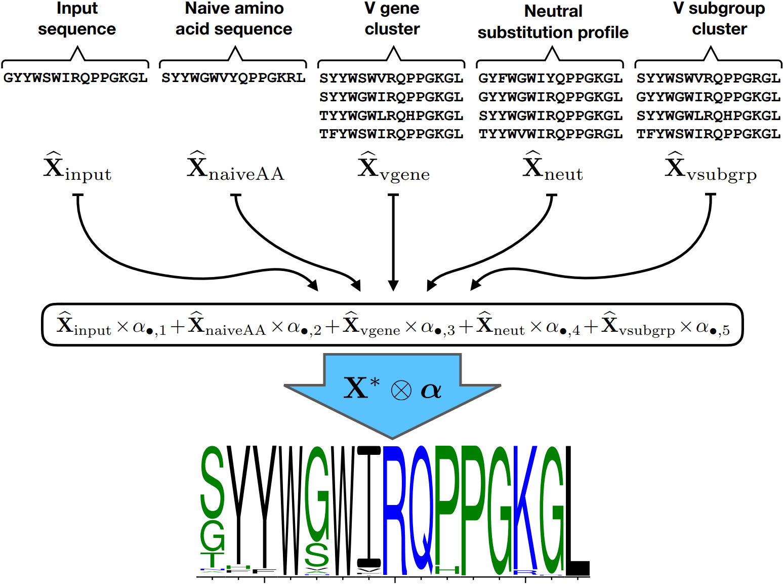 Predicting B Cell Receptor Substitution Profiles Using - 